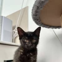 Photo of Glinda