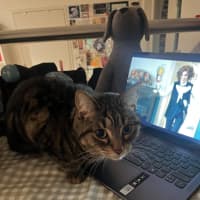 Photo of Princess Pumpkin