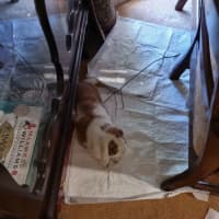 Photo of Aluna & Abby