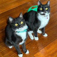 Photo of Peppa & Tabitha