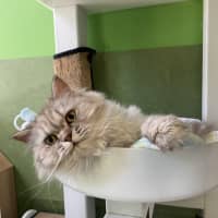 Photo of Bertha