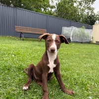 Photo of Marnie