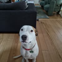 Photo of Flambeau