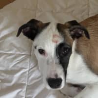 Photo of Isla