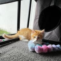 Photo of Colby
