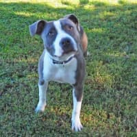 Photo of Lola Nee Sally