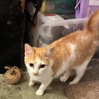 Photo of Dorothy (Dotty)