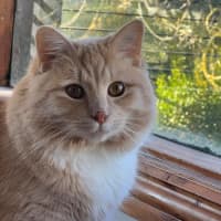 Photo of Ricardo Silvanus