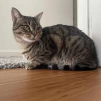 Photo of Suzie   Located In Macleod