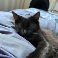 Photo of Wednesday