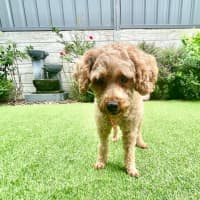 Photo of Lovely Murphy 