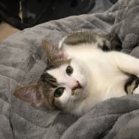 Photo of Mei