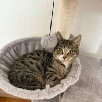 Photo of Billy Button