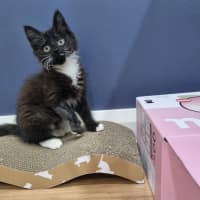 Photo of Ivy