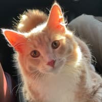 Photo of Arby