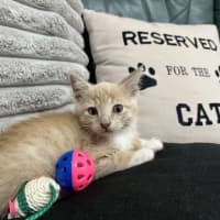 Photo of Ezra