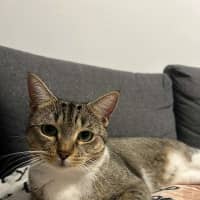 Photo of Samantha