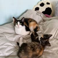 Photo of Maisy & Marlow