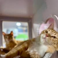 Photo of Zara And Leo