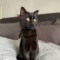 Photo of Sabine