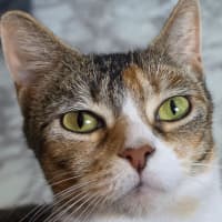 Photo of Rosie