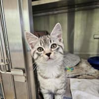 Photo of Charlie
