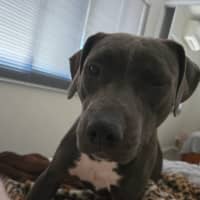 Photo of Bumble