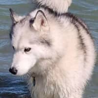 Photo of Ghost & Mirri