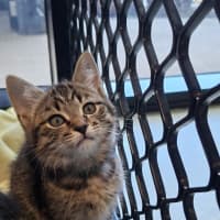 Photo of Tommy