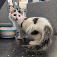 Photo of Frank From National Tiles 