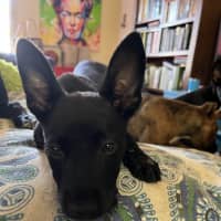 Photo of Skinny Marie (Evie)