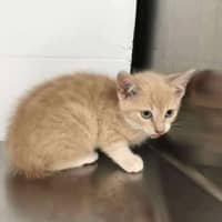 Photo of Nigel