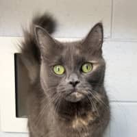 Photo of Agnes
