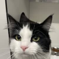 Photo of Ladybug
