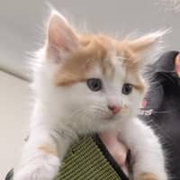 Photo of Smiggles Of Holdsworth