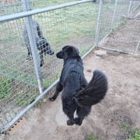 Photo of Lucy