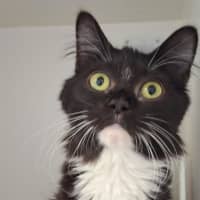 Photo of Junior (Now Eagor)