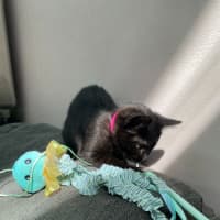 Photo of Einstein (9991)