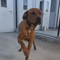 Photo of Zeus 68/2026