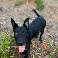 Photo of 🌱 Barnaby 5938 🌱