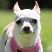 Photo of Holly Silvanus