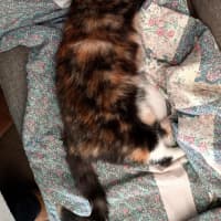 Photo of Mumma Patti 