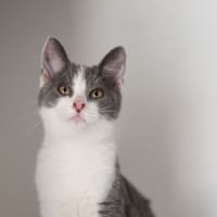Photo of Miles