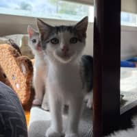 Photo of Wesley
