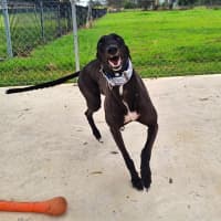 Photo of Shadow Moon