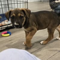 Photo of Marceline The Vampire Queen