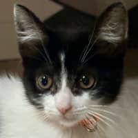 Photo of Jessie