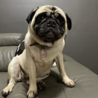 Photo of Lenny Lou