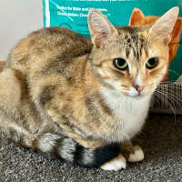 Photo of Tia Torrens