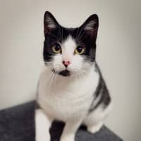 Photo of Madeline